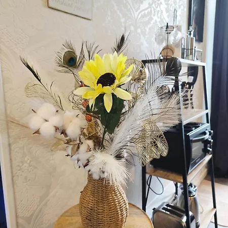 Nyaraló La Parenthese Normande- Balneo - Video Projecteur Almeneches