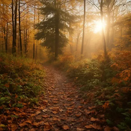 La Parenthese Normande- Balneo - Video Projecteur