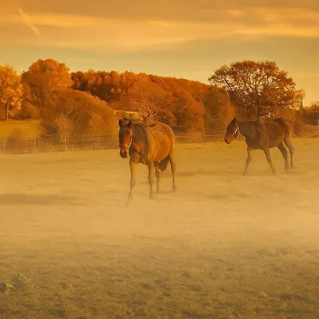 La Parenthese Normande- Balneo - Video Projecteur Nyaraló *