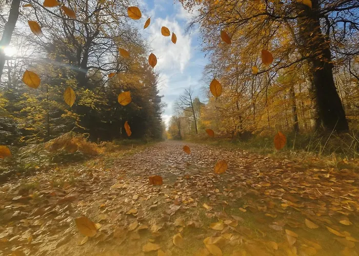 La Parenthese Normande- Balneo - Video Projecteur * Almeneches