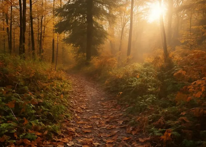 La Parenthese Normande- Balneo - Video Projecteur