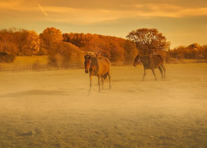 La Parenthese Normande- Balneo - Video Projecteur 別荘 *