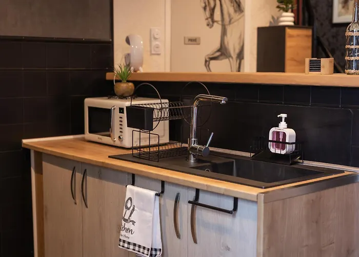 La Parenthese Normande- Balneo - Video Projecteur 別荘 *